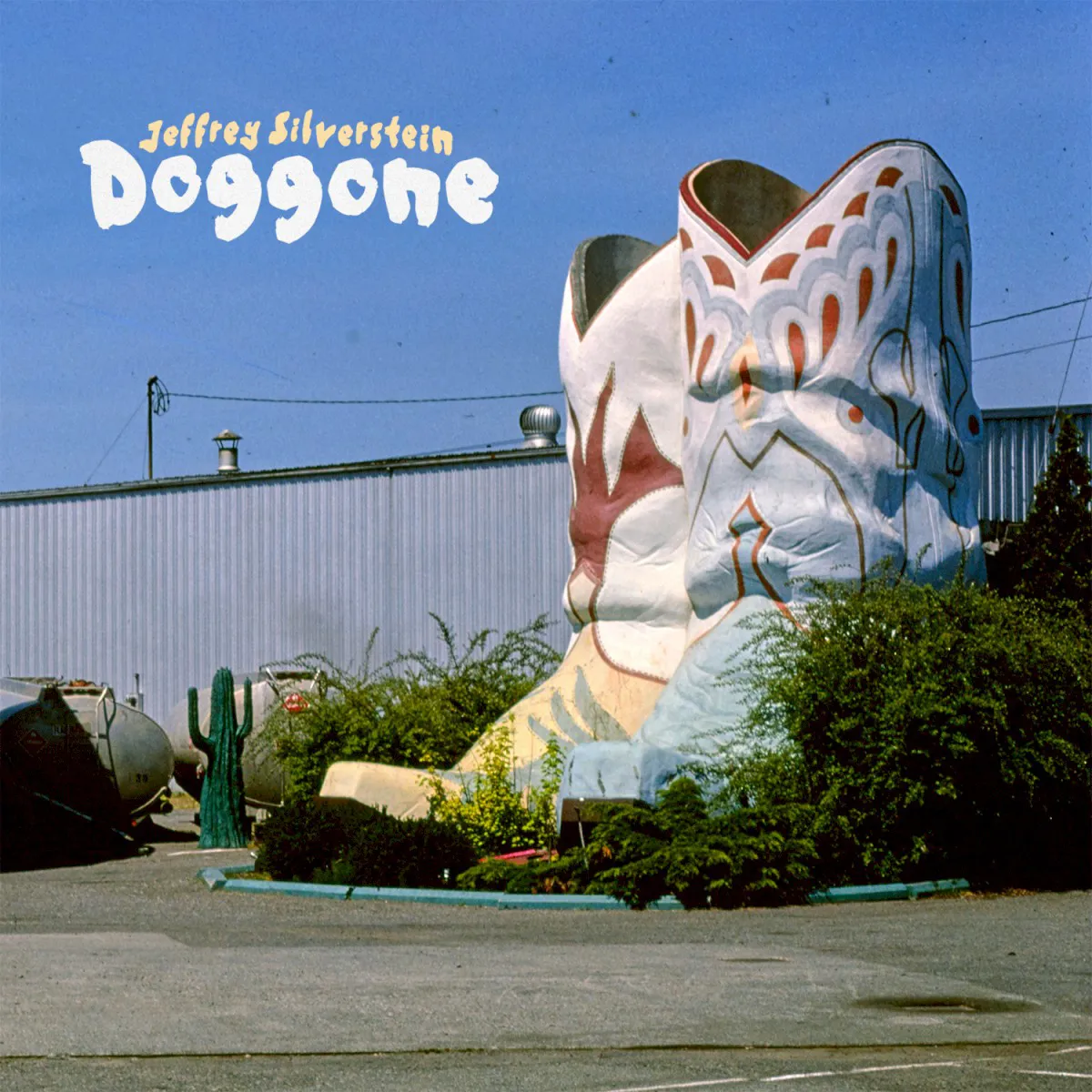Cover of Jeffrey Silverstein – Doggone