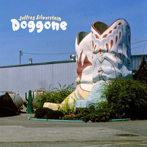 Cover of Jeffrey Silverstein – Doggone