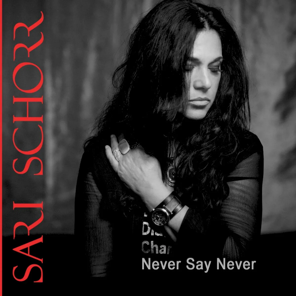 Cover of Sari Schorr – Never Say Never