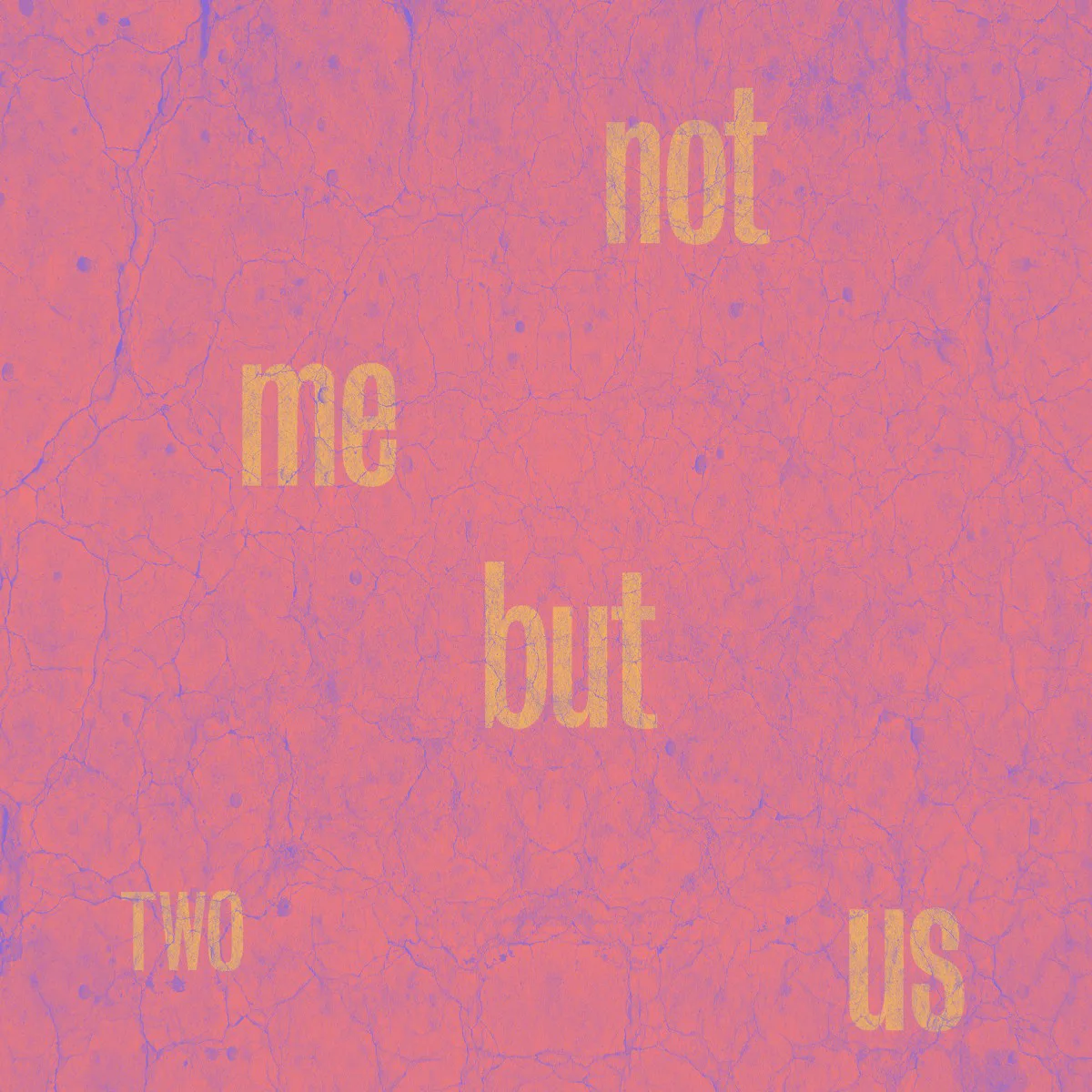 Cover of Not Me But Us – Two