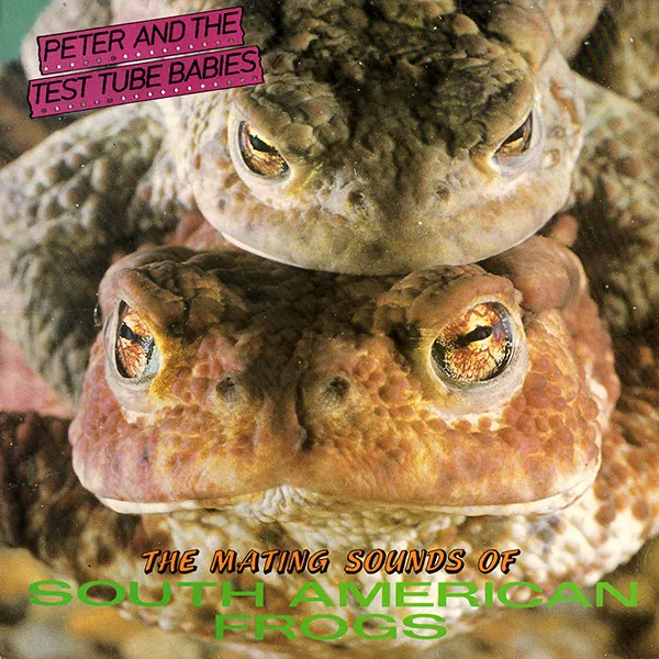 Obal albumu The Mating Sound of South American Frogs
