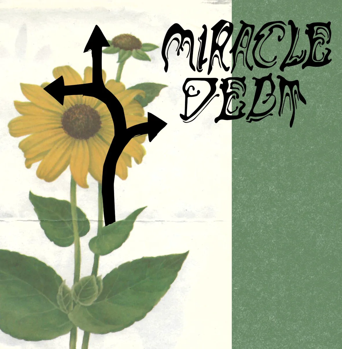 Obal alba Miracle Debt – Under the Shadow