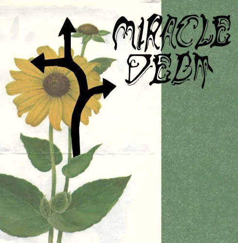 Miracle Debt
