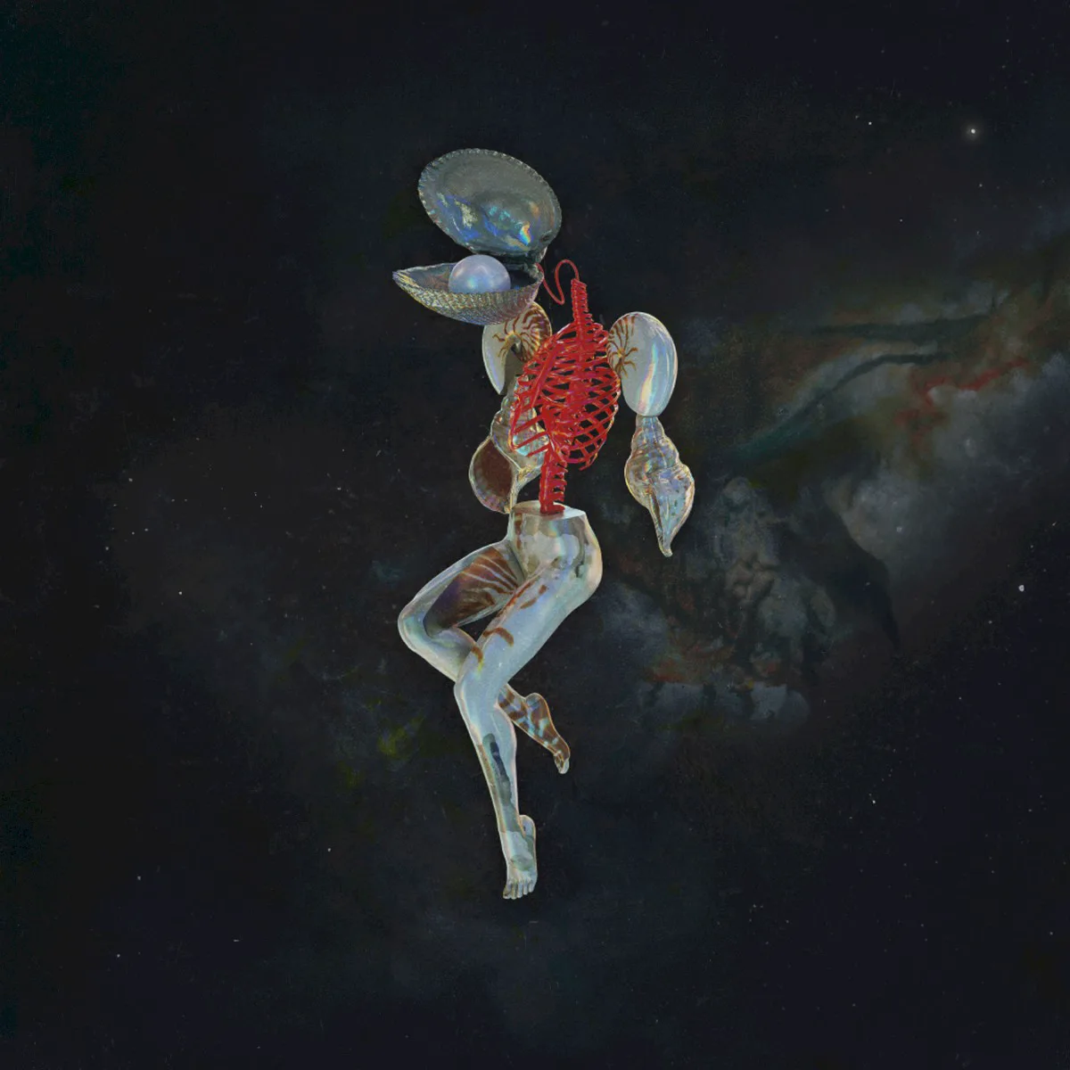 Cover of Hail Spirit Noir – Fossil Gardens