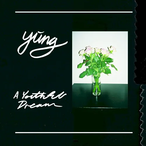 Cover of Yung – A Youthful Dream