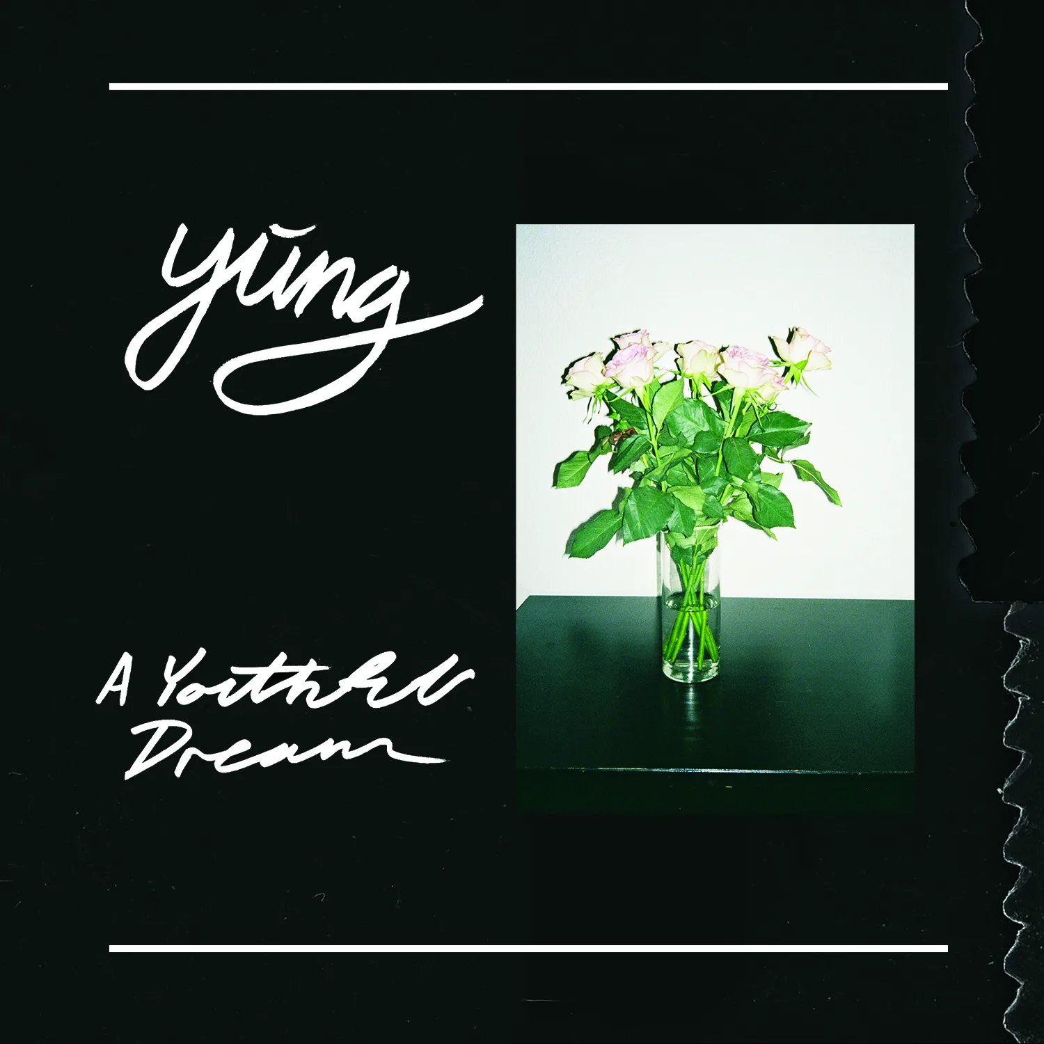 Cover of Yung – A Youthful Dream