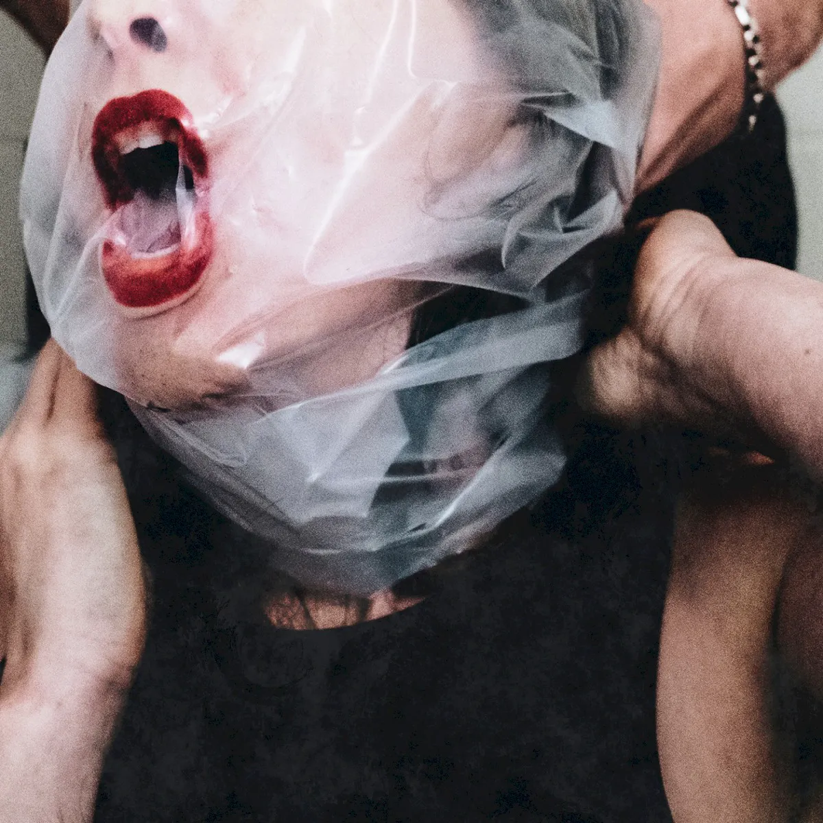 Cover of Flesh Stays Together