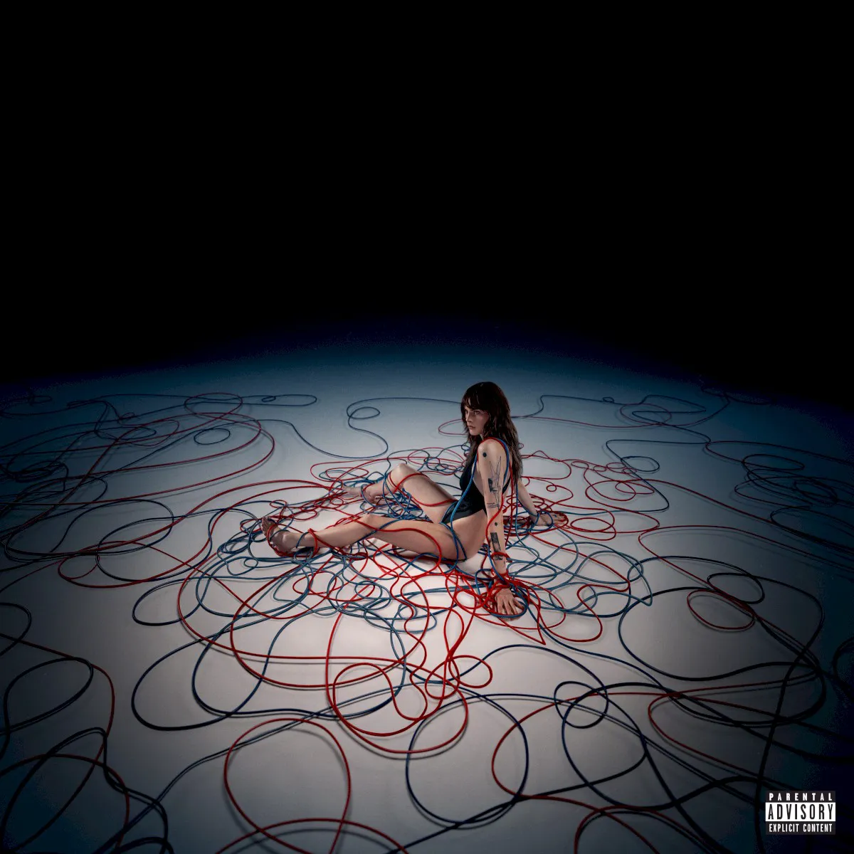 Cover of Not Normal