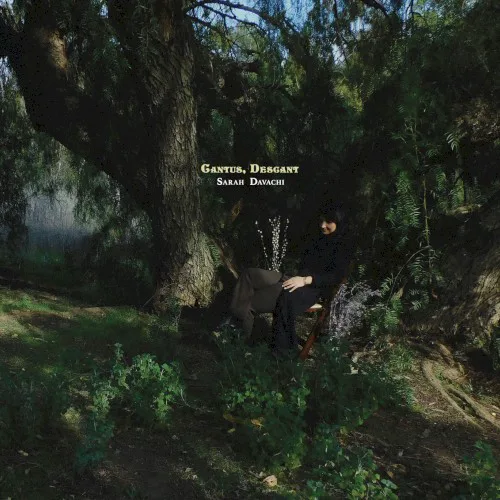 Cover of Sarah Davachi – Cantus, Descant