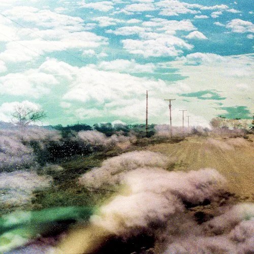 Cover of The World Is a Beautiful Place & I Am No Longer Afraid to Die – Always Foreign