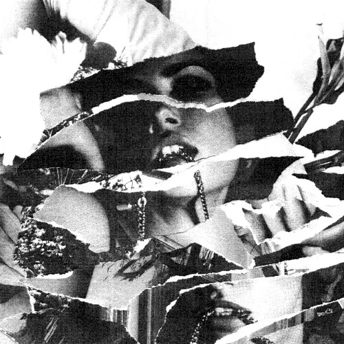 Cover of Forever Grey – Sympathy Garden