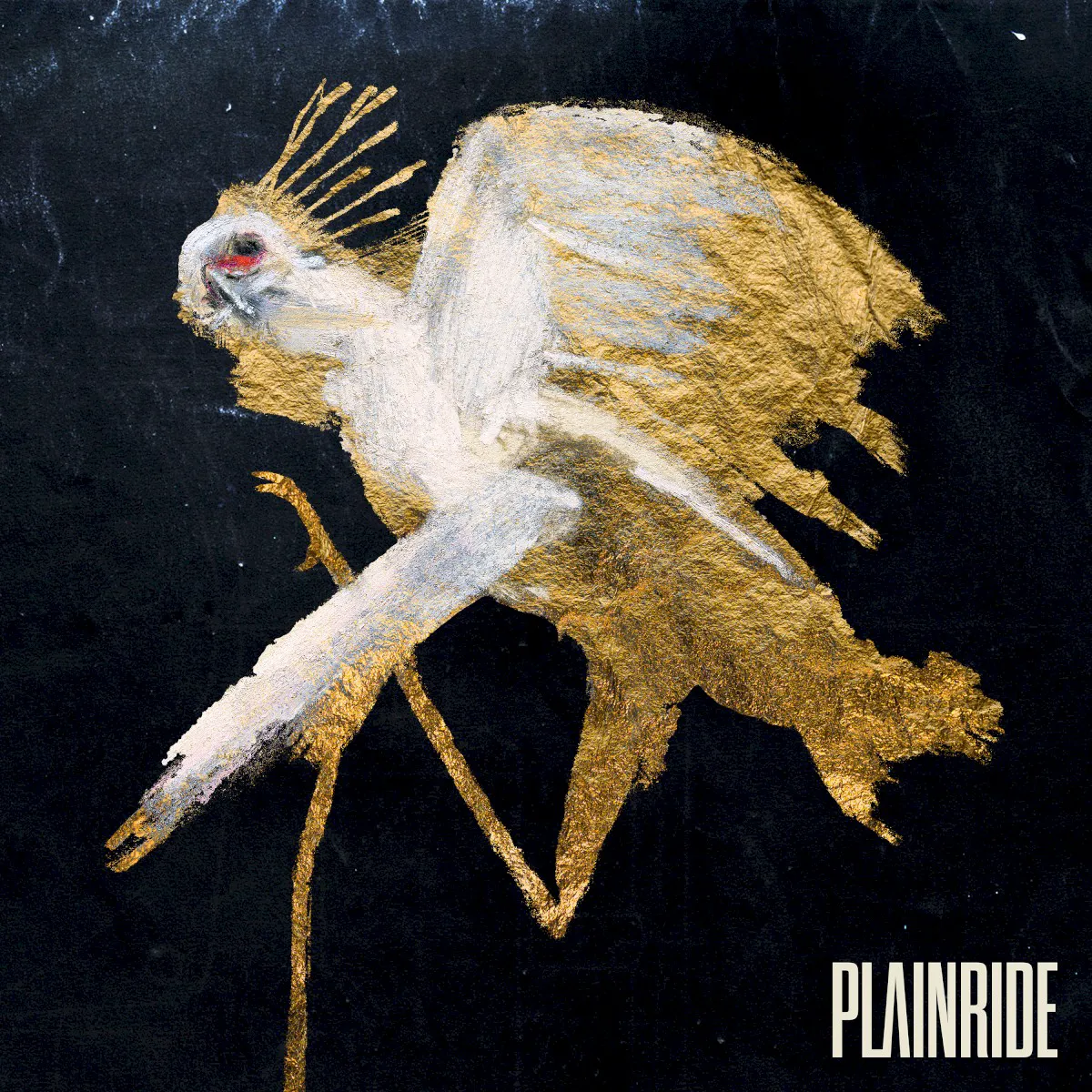 Obal alba Plainride