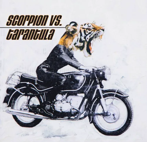 Scorpion vs Tarantula