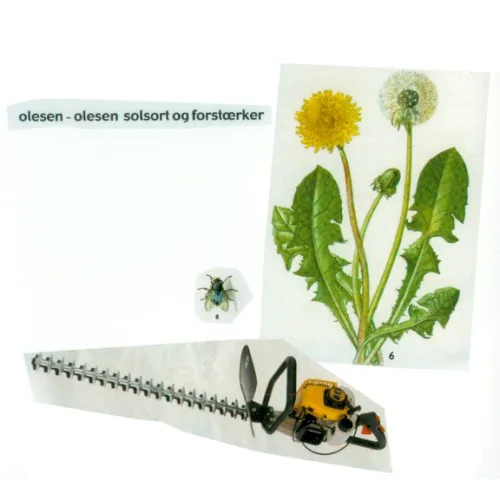 Cover of Olesen-Olesen – Solsort Og Forstærker