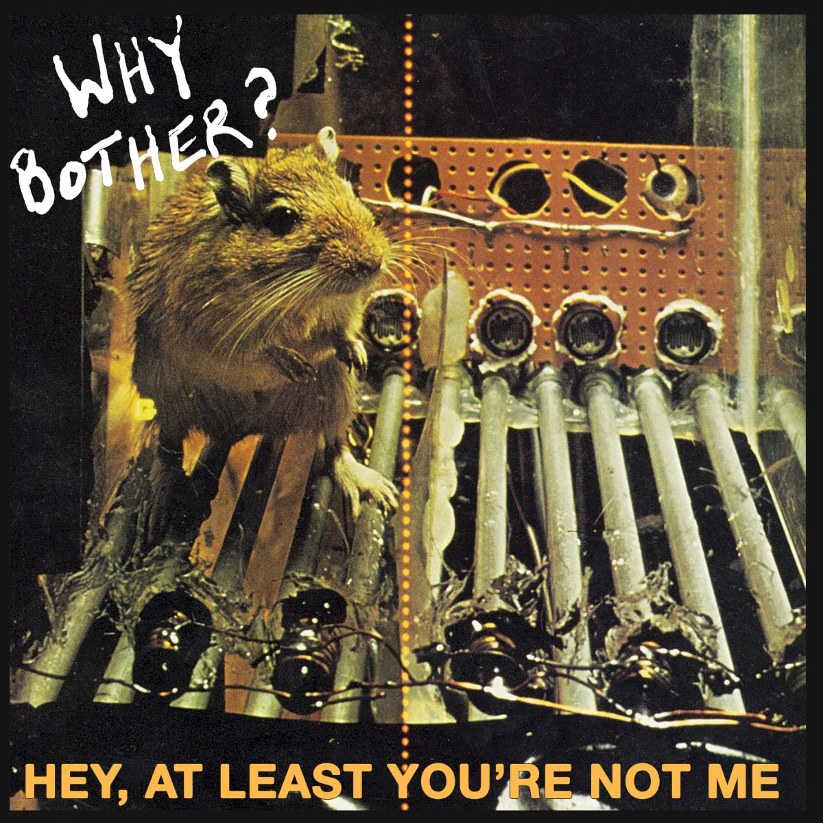 Obal alba Why Bother? – Hey, At Least You're Not Me