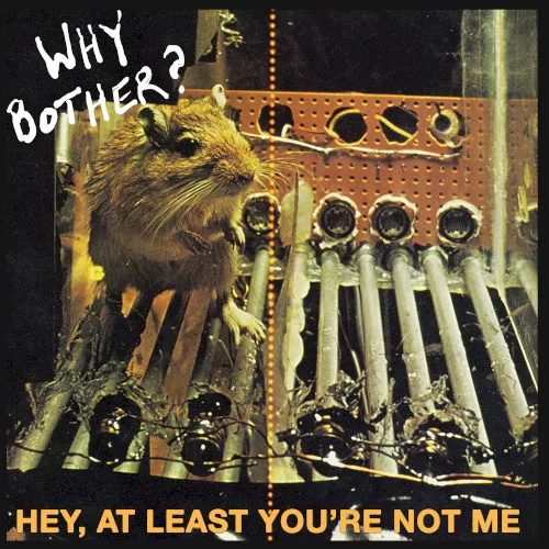 Obal alba Why Bother? – Hey, At Least You're Not Me