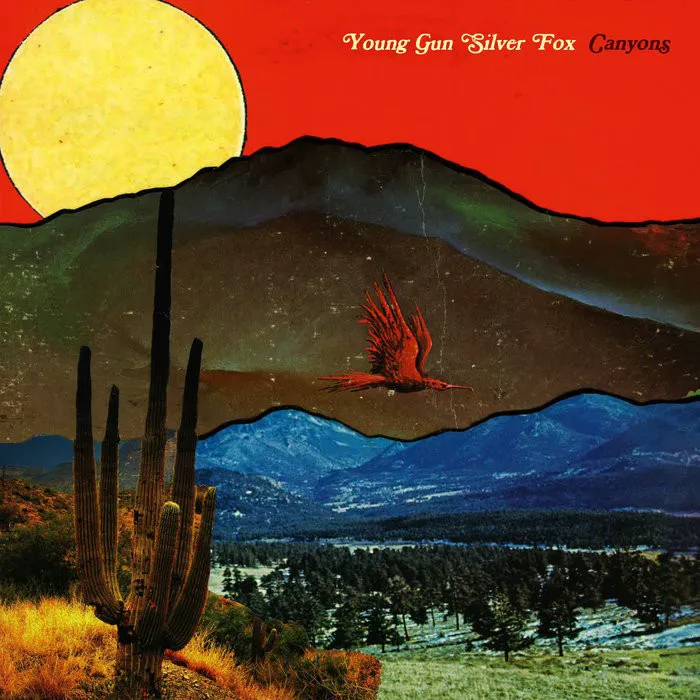 Cover of Canyons