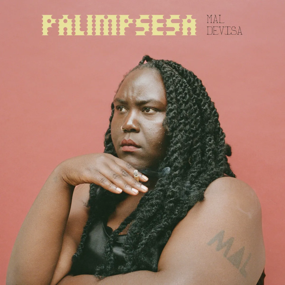 Obal albumu Palimpsesa