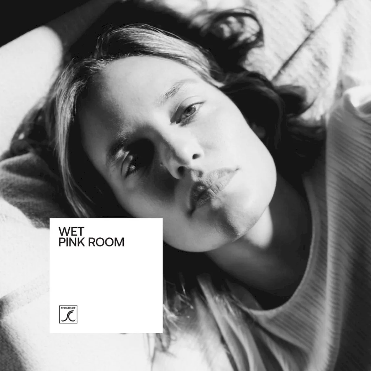 Cover of Wet – Pink Room
