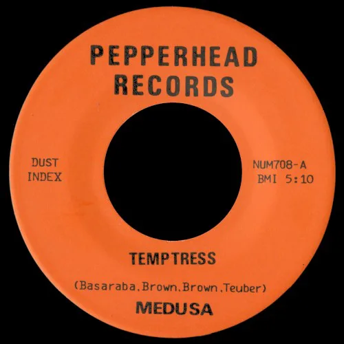 Obal alba Medusa – Temptress