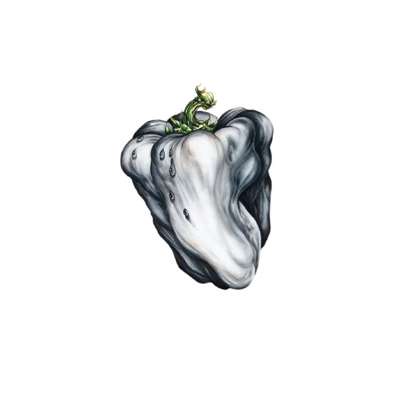 Obal alba White Pepper
