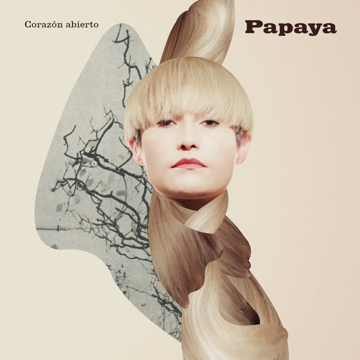 Cover of Papaya – Corazón abierto