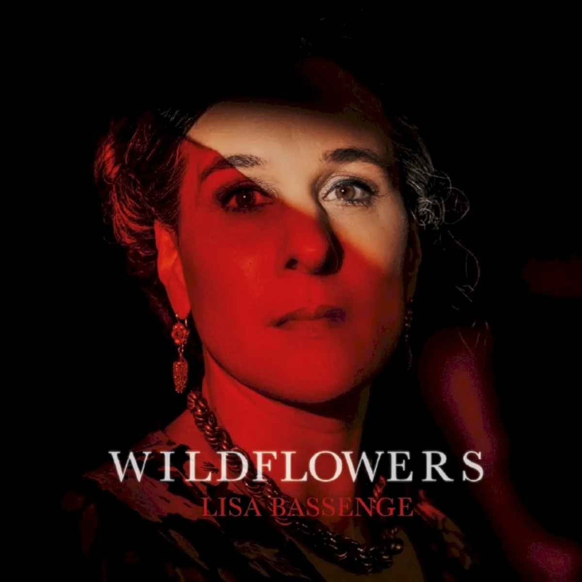 Obal albumu Lisa Bassenge – Wildflowers