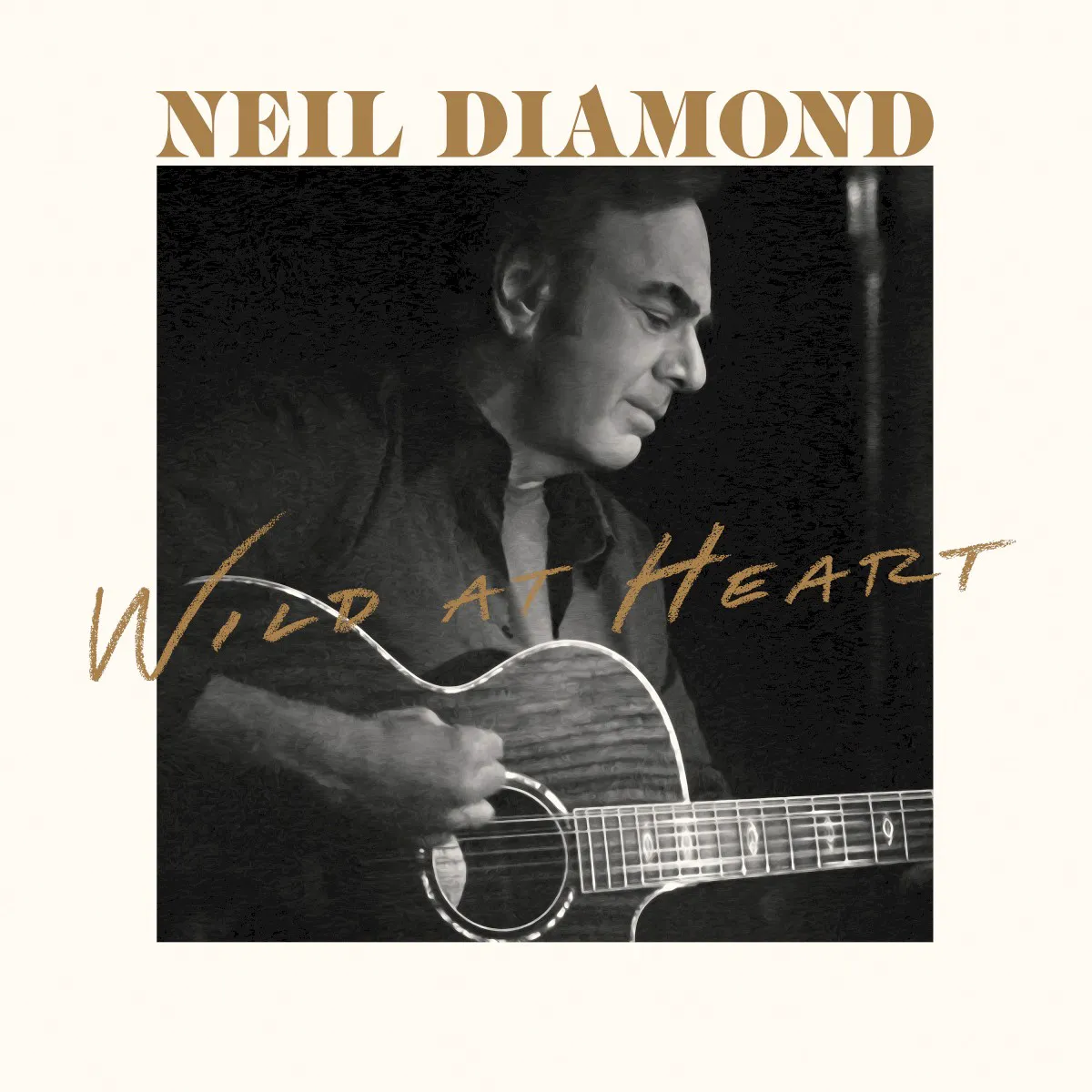 Obal albumu Wild at Heart