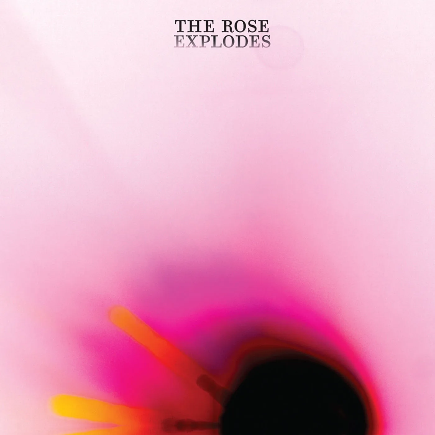 Cover of Dream Boat – The Rose Explodes