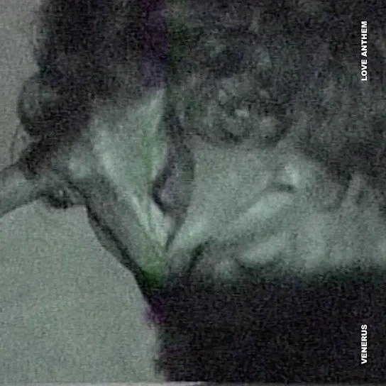 Cover of Venerus – Love Anthem