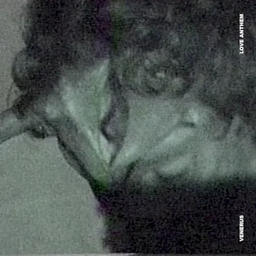Cover of Venerus – Love Anthem