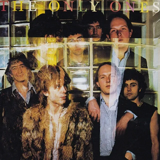 Cover of The Only Ones
