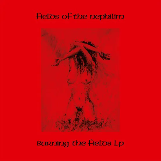 Obal alba Burning the Fields LP