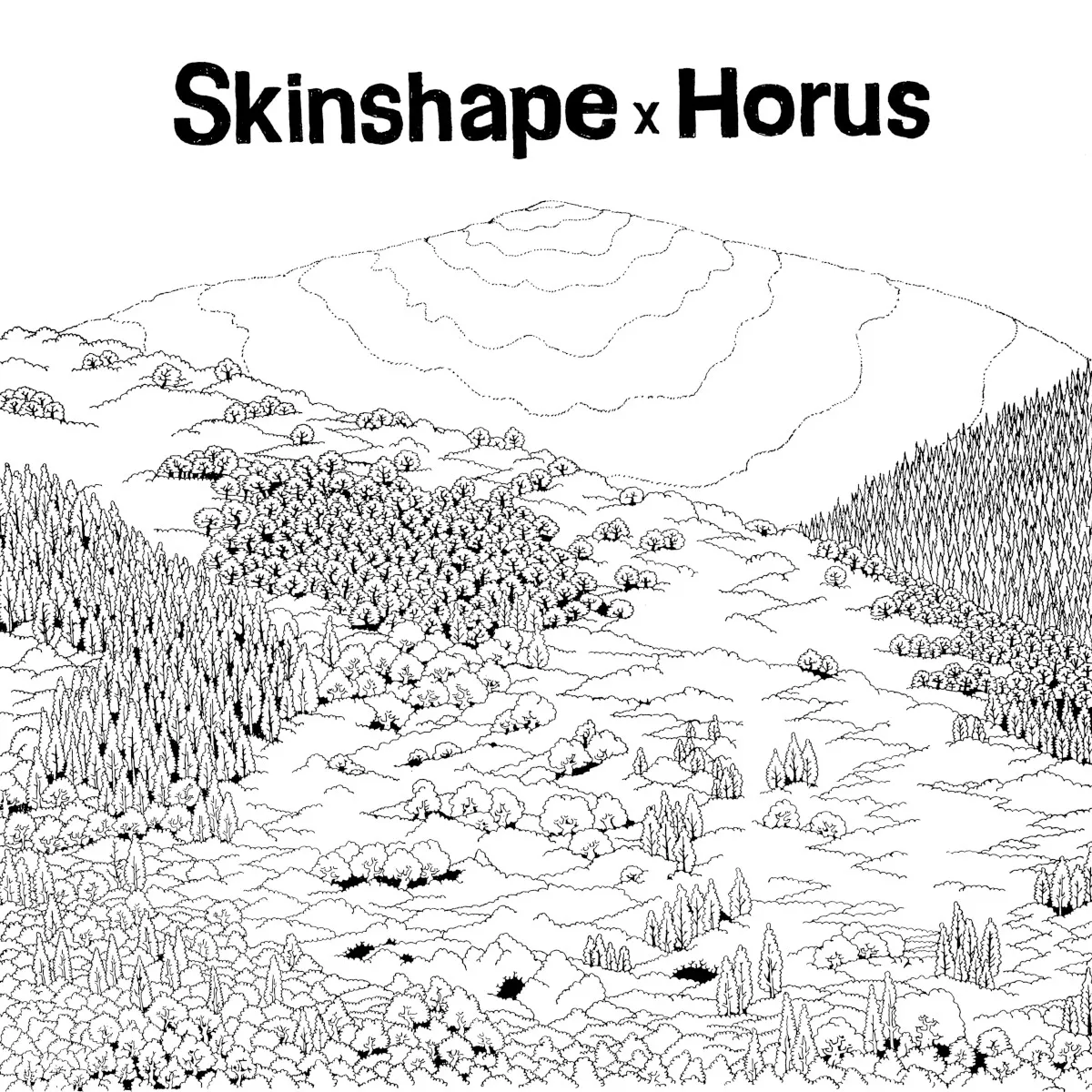 Obal albumu Skinshape x Horus