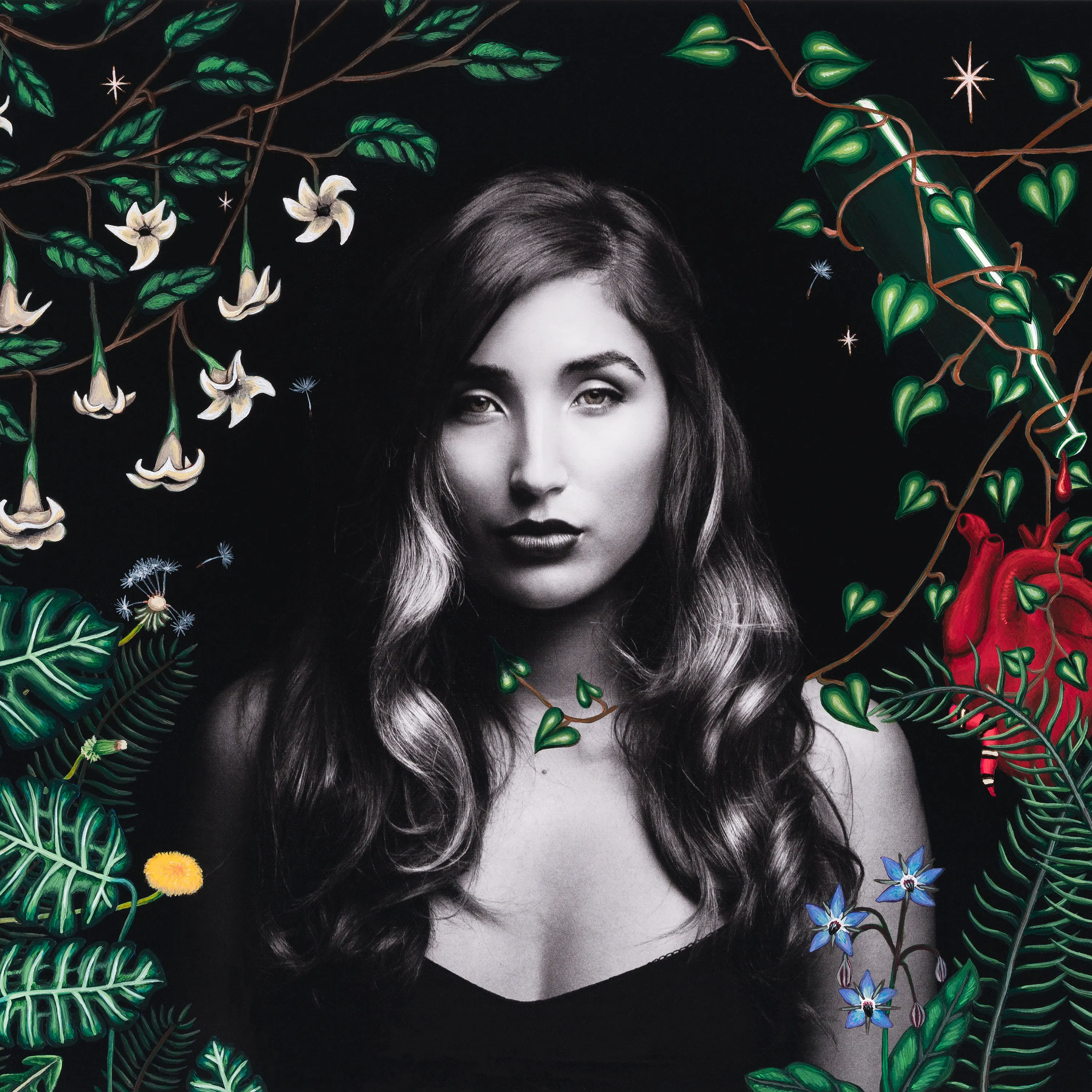 Cover of Jade Jackson – Wilderness