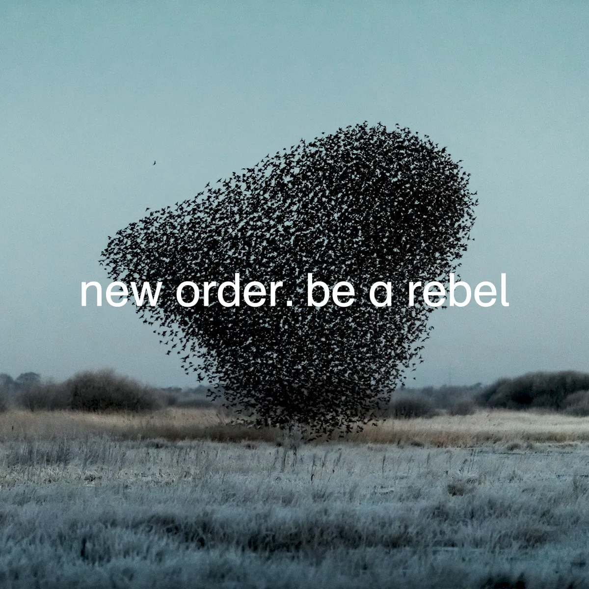 Cover of Be a Rebel
