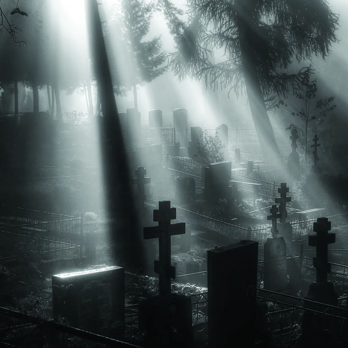 Cover of Veni Nox Anima