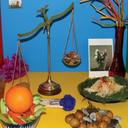 Cover of Wreck and Reference – Absolute Still Life