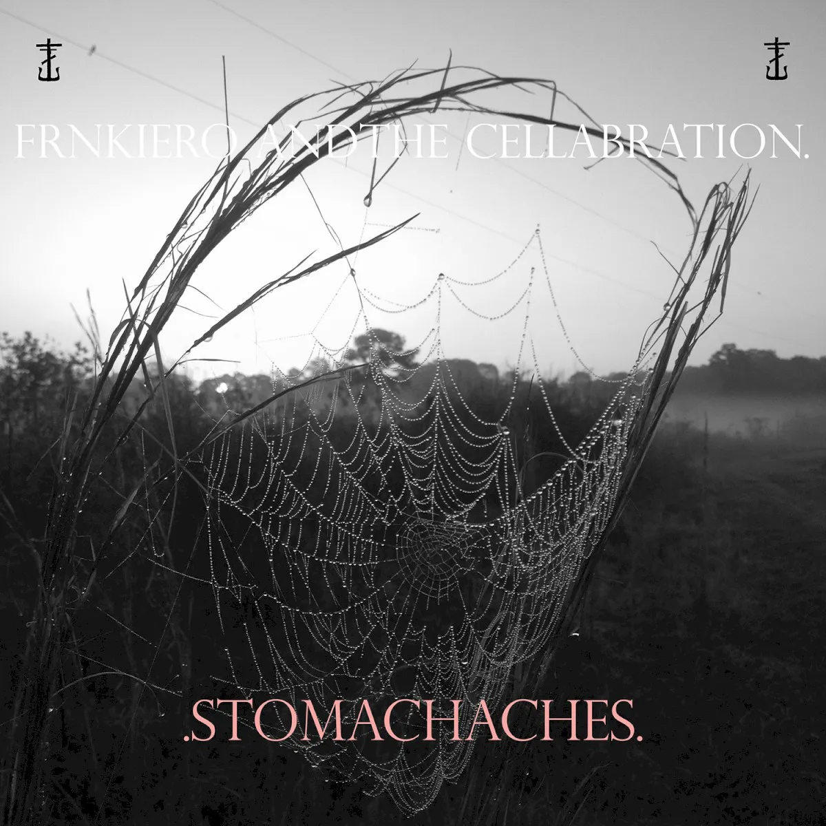 Cover of .Stomachaches.