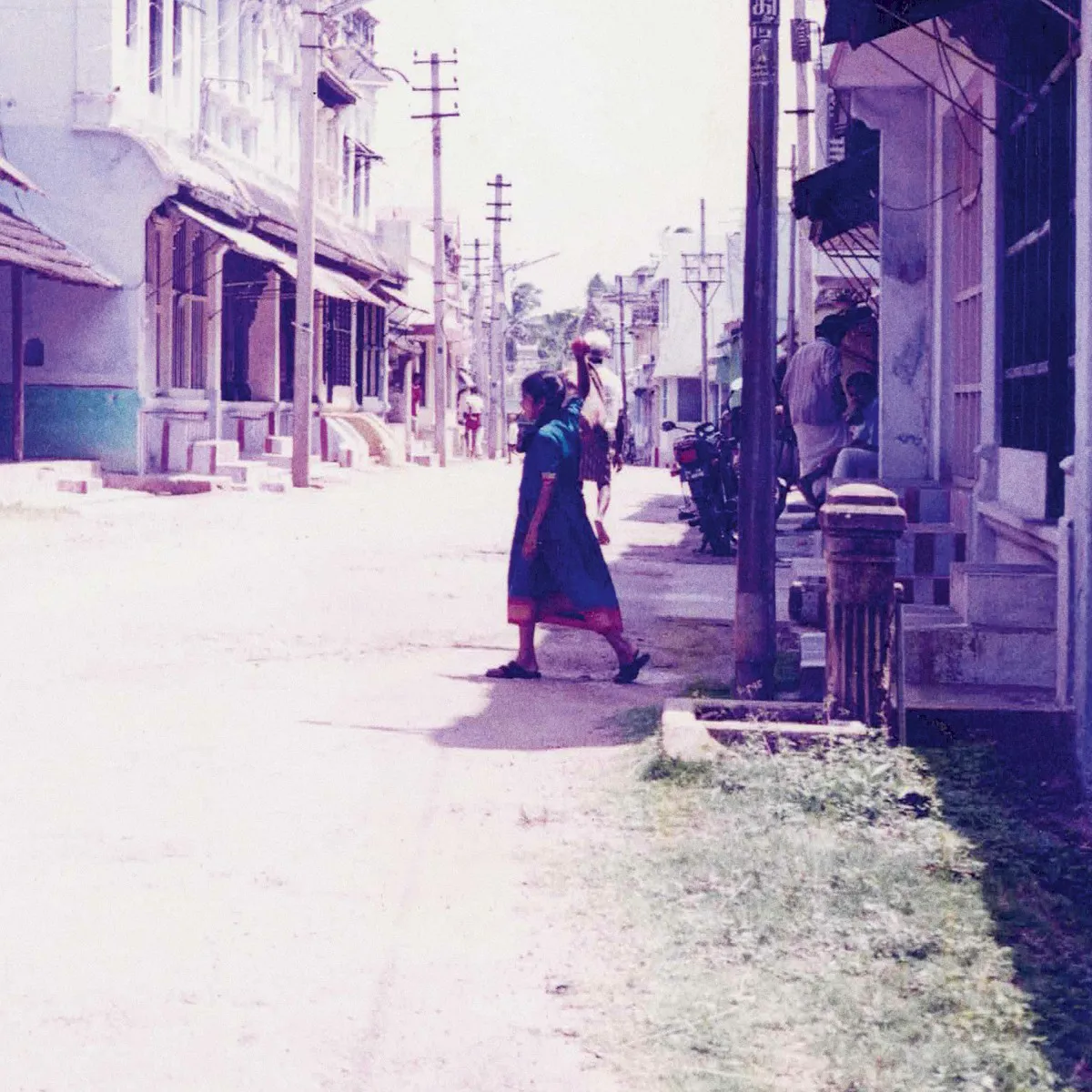 Obal alba Nilam