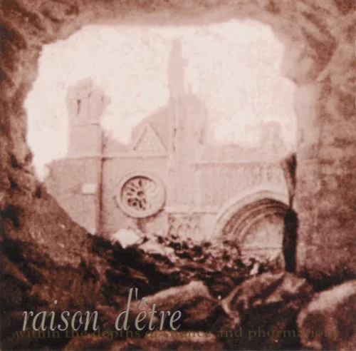 Cover of raison d’être – Within the Depths of Silence and Phormations