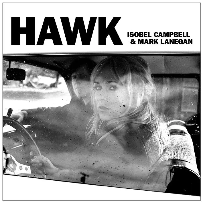 Cover of Hawk