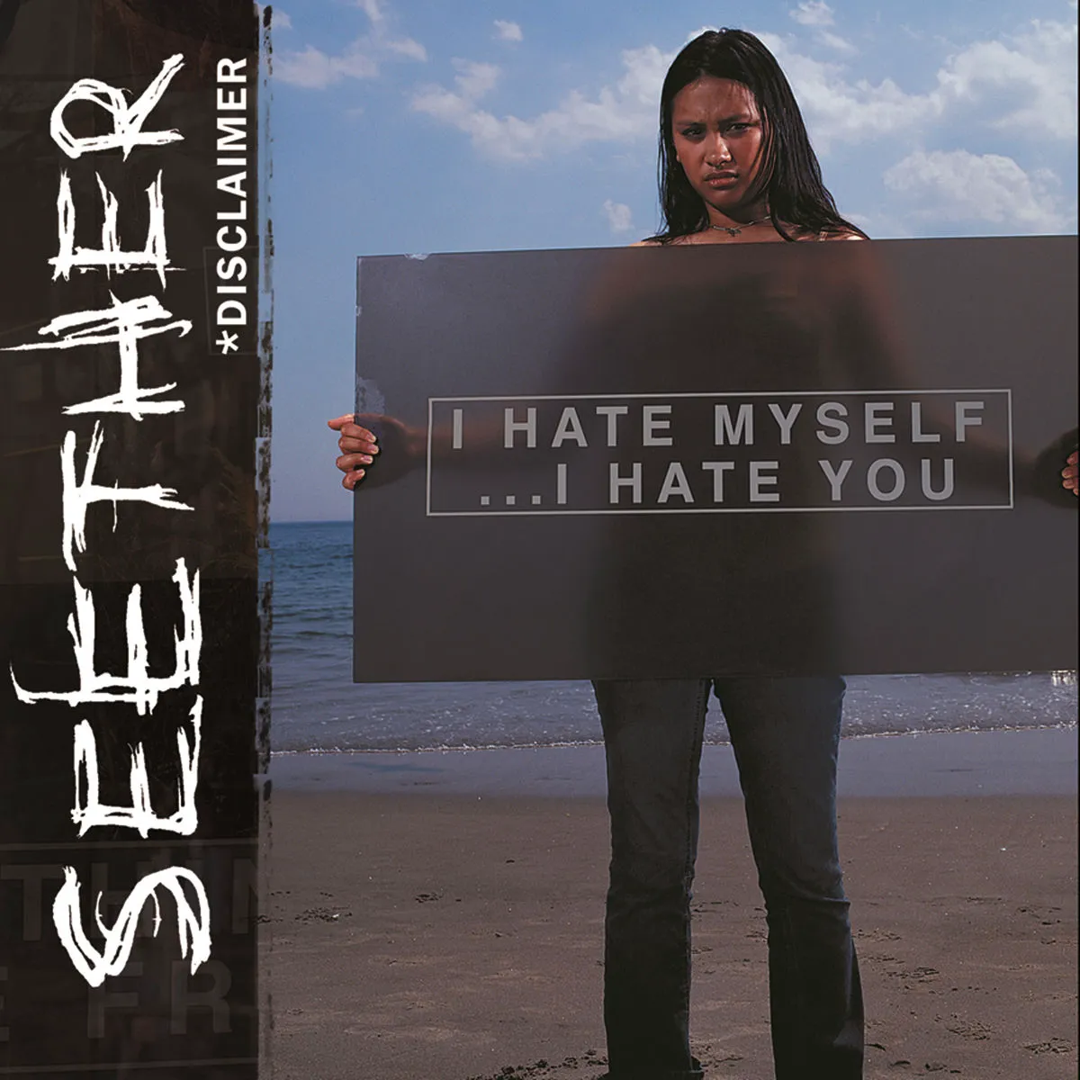 Cover of Disclaimer