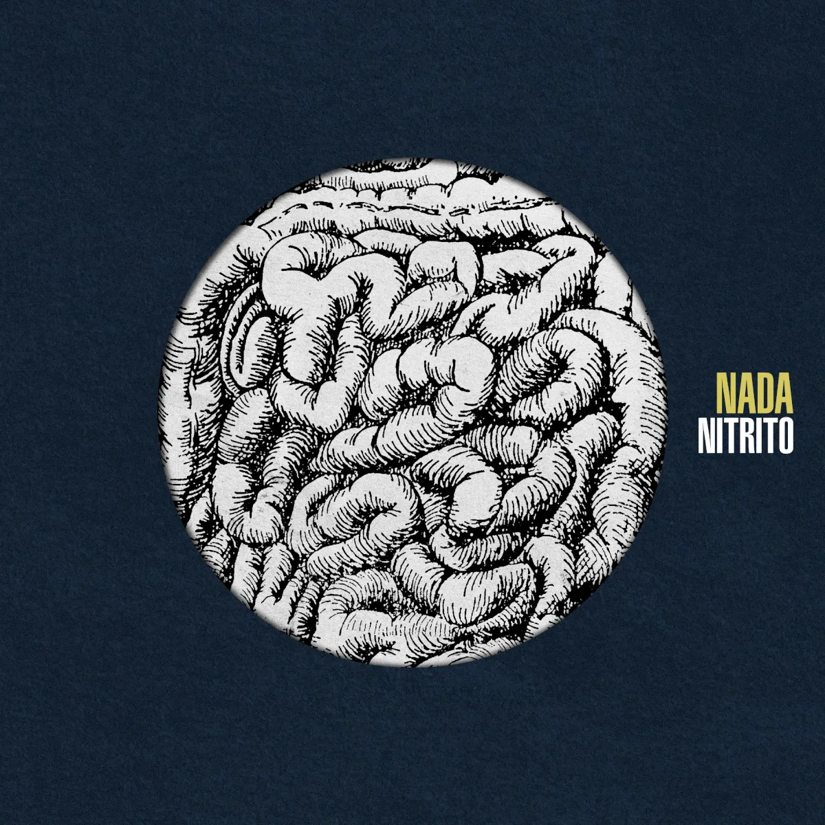 Cover of Nada – Nitrito