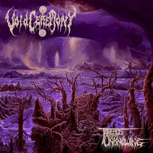 Cover of VoidCeremony – Threads of Unknowing