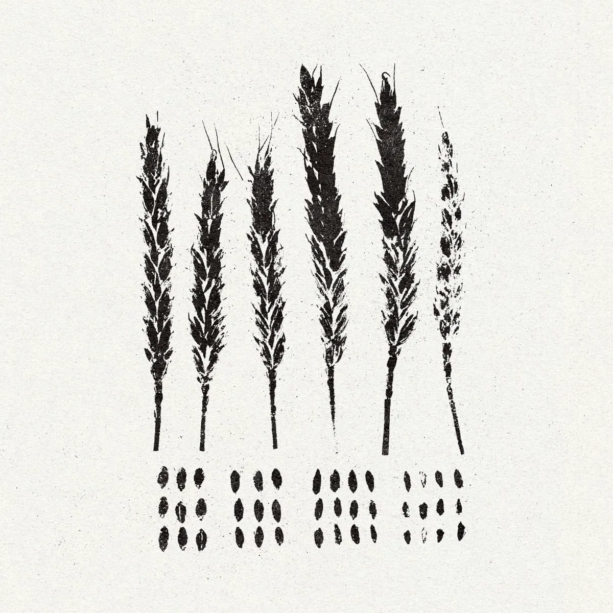 Cover of Lo! – The Gleaners