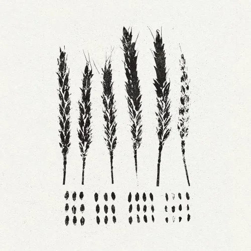 Cover of Lo! – The Gleaners