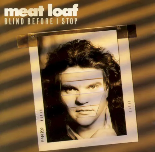 Cover of Meat Loaf – Blind Before I Stop