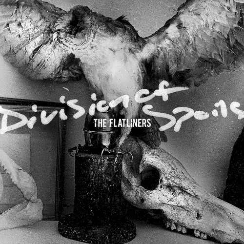 Cover of The Flatliners – Division of Spoils