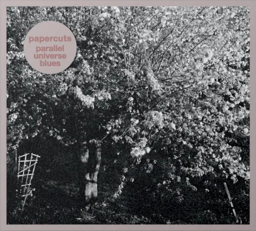 Cover of Papercuts – Parallel Universe Blues